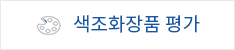 색조화장품 평가