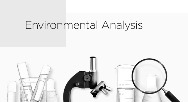 Environmental Analysis