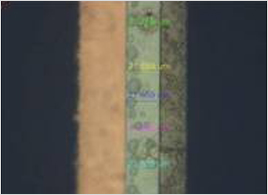 Thickness of the microscope cross-section plating