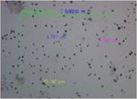 Porosity of chrome plating